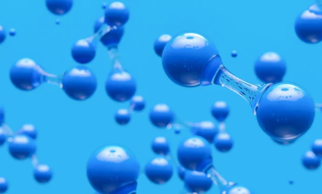 Blue Cross Blue Shield