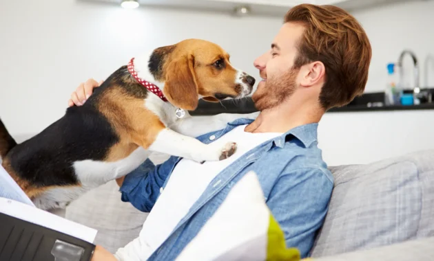 Direct Line Pet Insurance