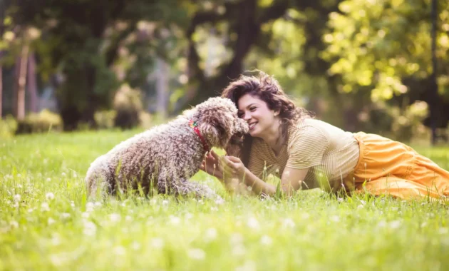 best pet insurance in the UK