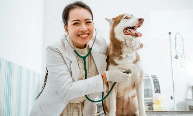 Animal Health Insurance