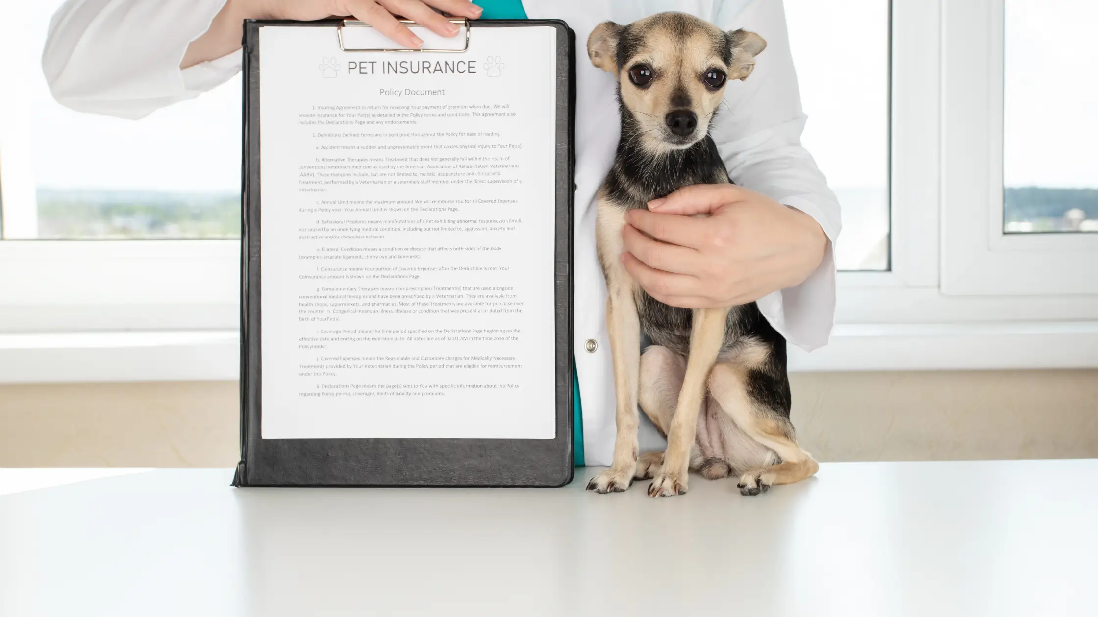 Pet Insurance for Pre-Existing Conditions