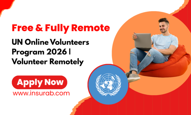 UN Online Volunteers