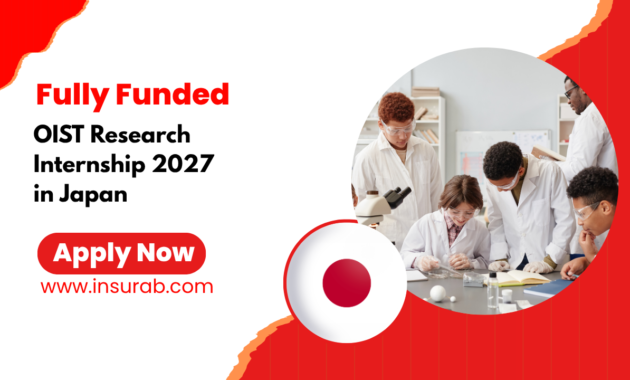 OIST Research Internship 2027 | Fully Funded Research Program in Japan